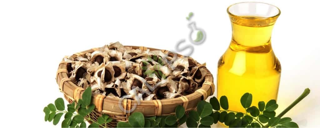 Acquista 100% PURE MORINGA Olio essenziale per la pelle